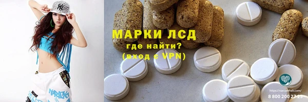 хмурый Алзамай