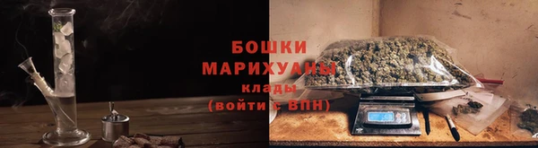 шишки Слюдянка