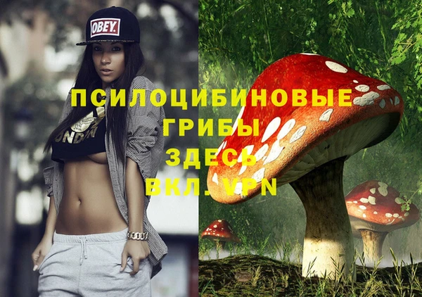 кристаллы Снежногорск