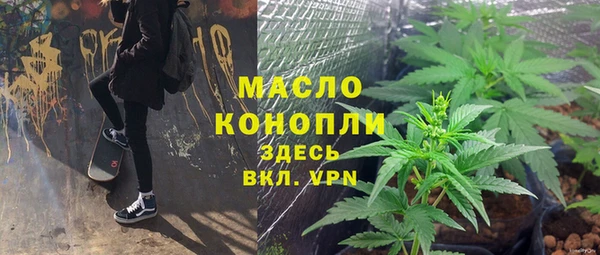 шишки Слюдянка