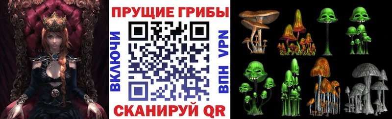 Псилоцибиновые грибы GOLDEN TEACHER Зубцов
