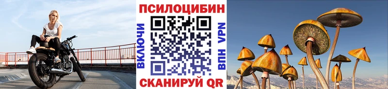 Псилоцибиновые грибы Psilocybine cubensis Купить Зубцов